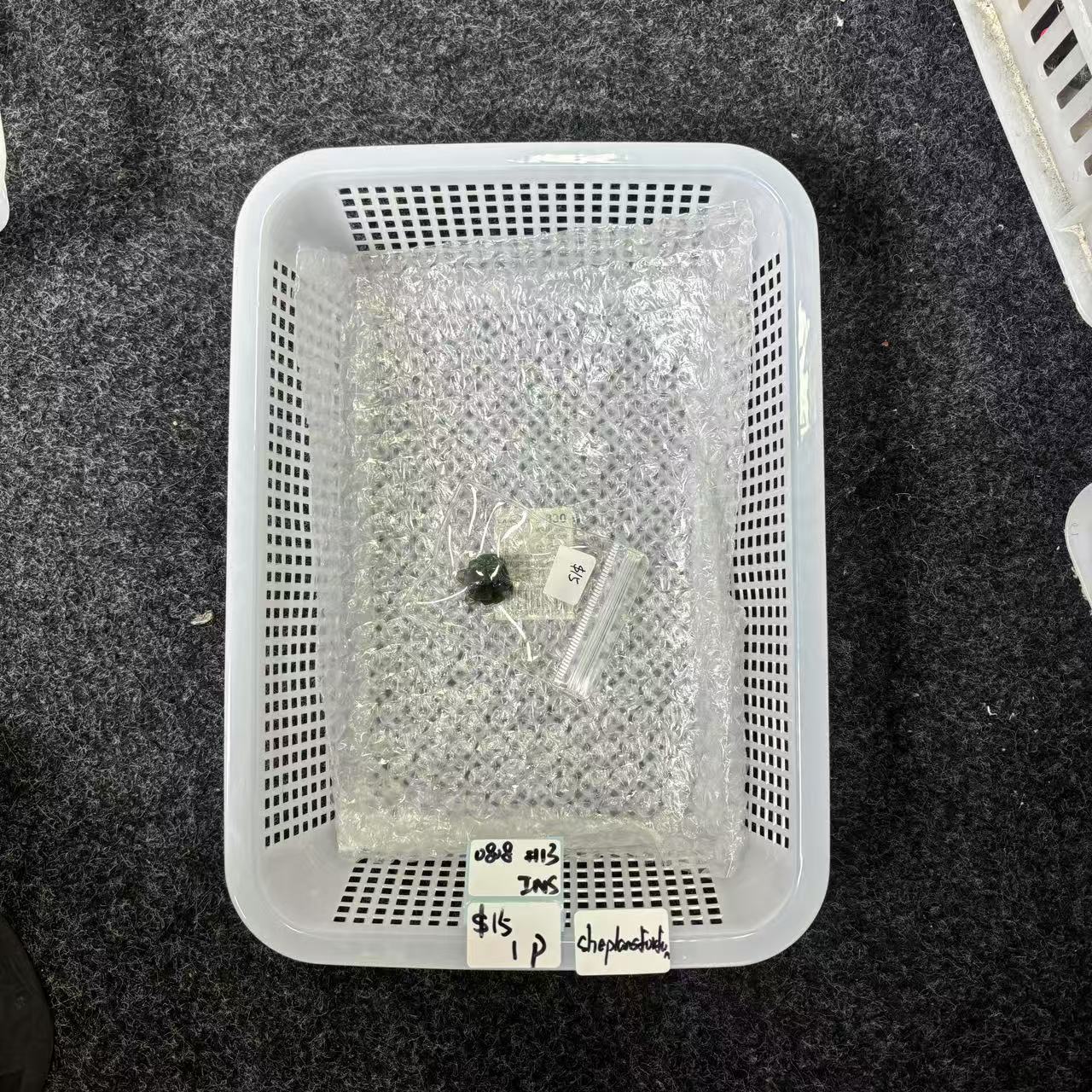 KIKICRYSTAL INS Claim Sale For 0808