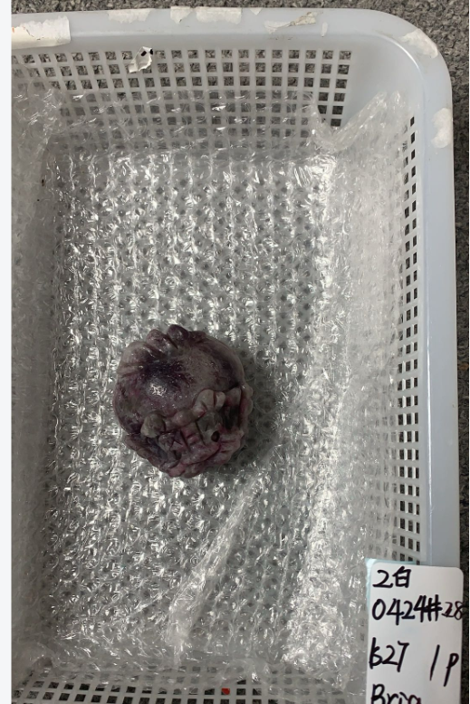 KIKICRYSTAL Unique Crystal Claim Sale for 0424