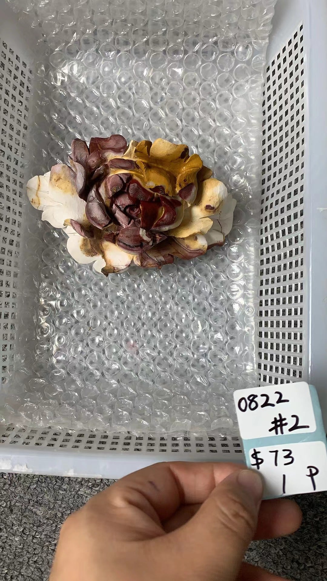 KIKICRYSTAL Unique Crystal Claim Sale for 0822