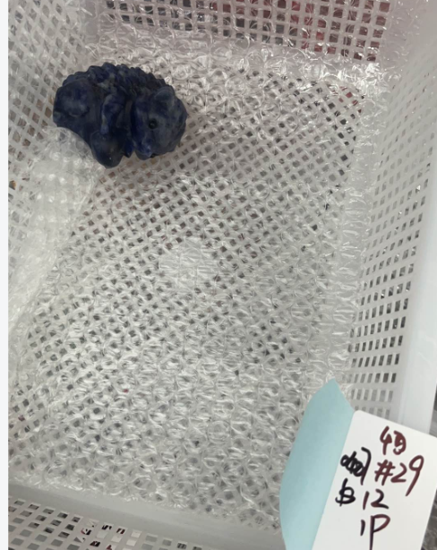 KIKICRYSTAL KIKI Claim Sale For 0427