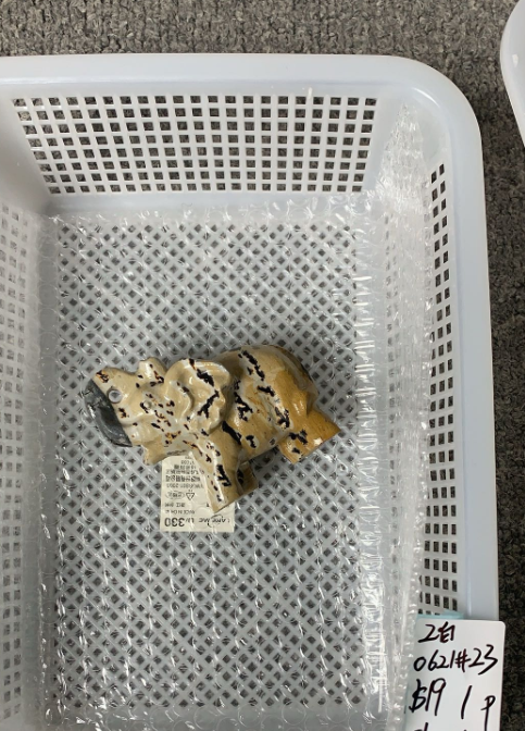 KIKICRYSTAL Unique Crystal Claim Sale for 0621