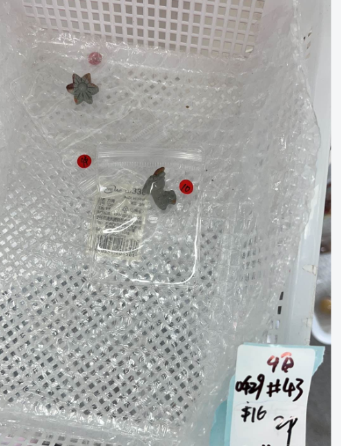KIKICRYSTAL KIKI Claim Sale For 0429