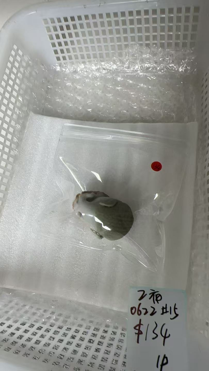 KIKICRYSTAL Unique Crystal Claim Sale for 0622
