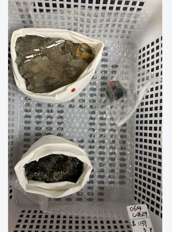 KIKICRYSTAL Unique Crystal Claim Sale for 0614