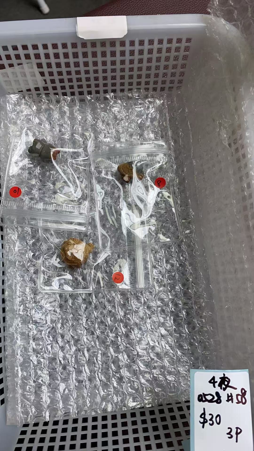 KIKICRYSTAL KIKI Claim Sale For 0528