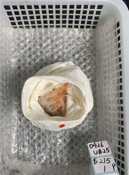 KIKICRYSTAL Unique Crystal Claim Sale for 0426