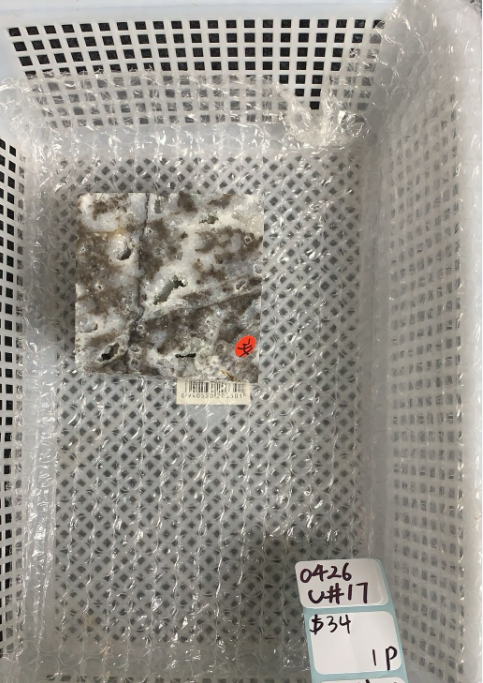 KIKICRYSTAL Unique Crystal Claim Sale for 0426