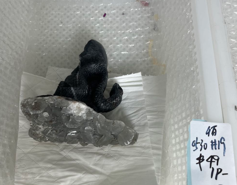 KIKICRYSTAL KIKI Claim Sale For 0530