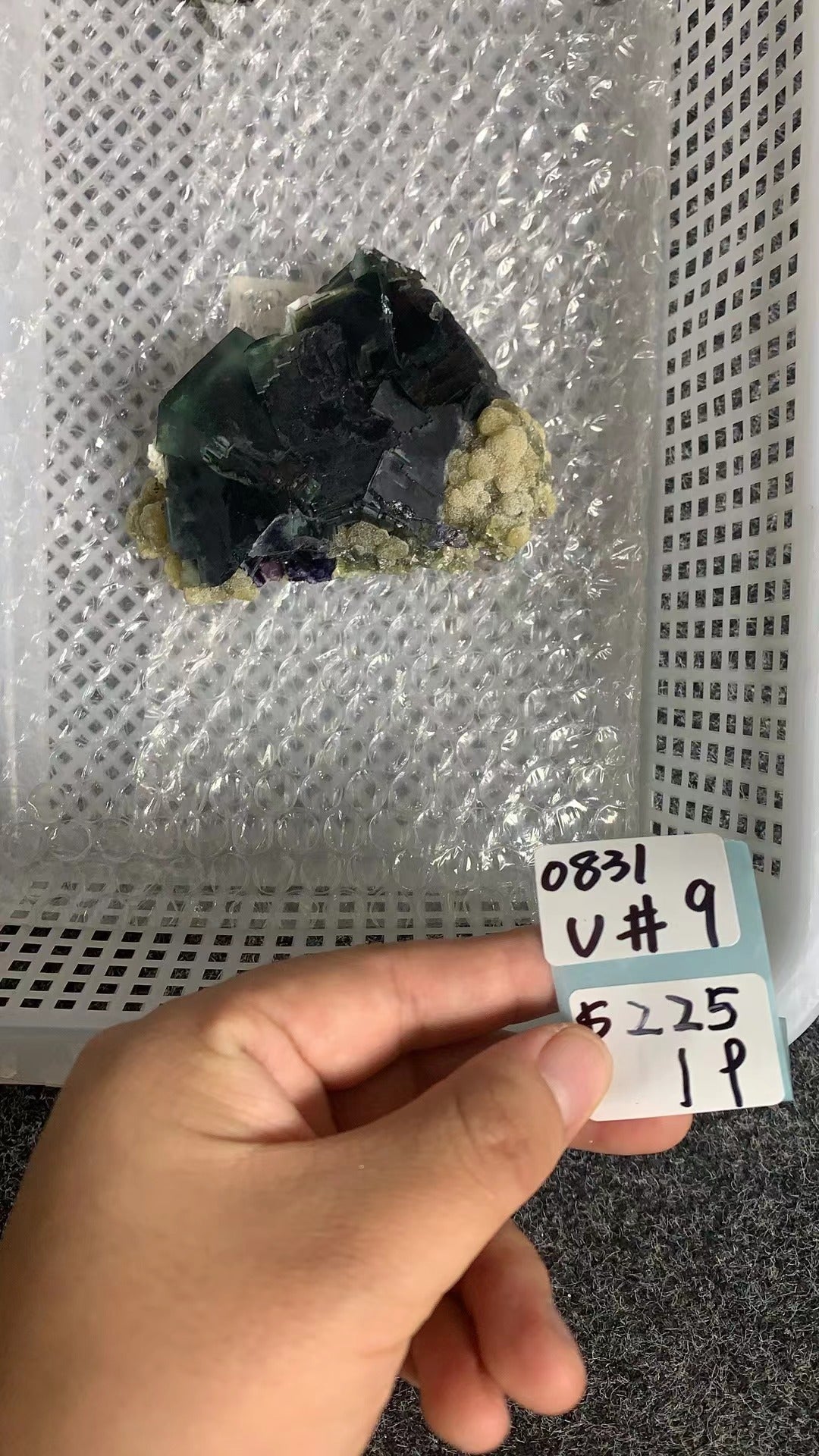 KIKICRYSTAL Unique Crystal Claim Sale for 0831