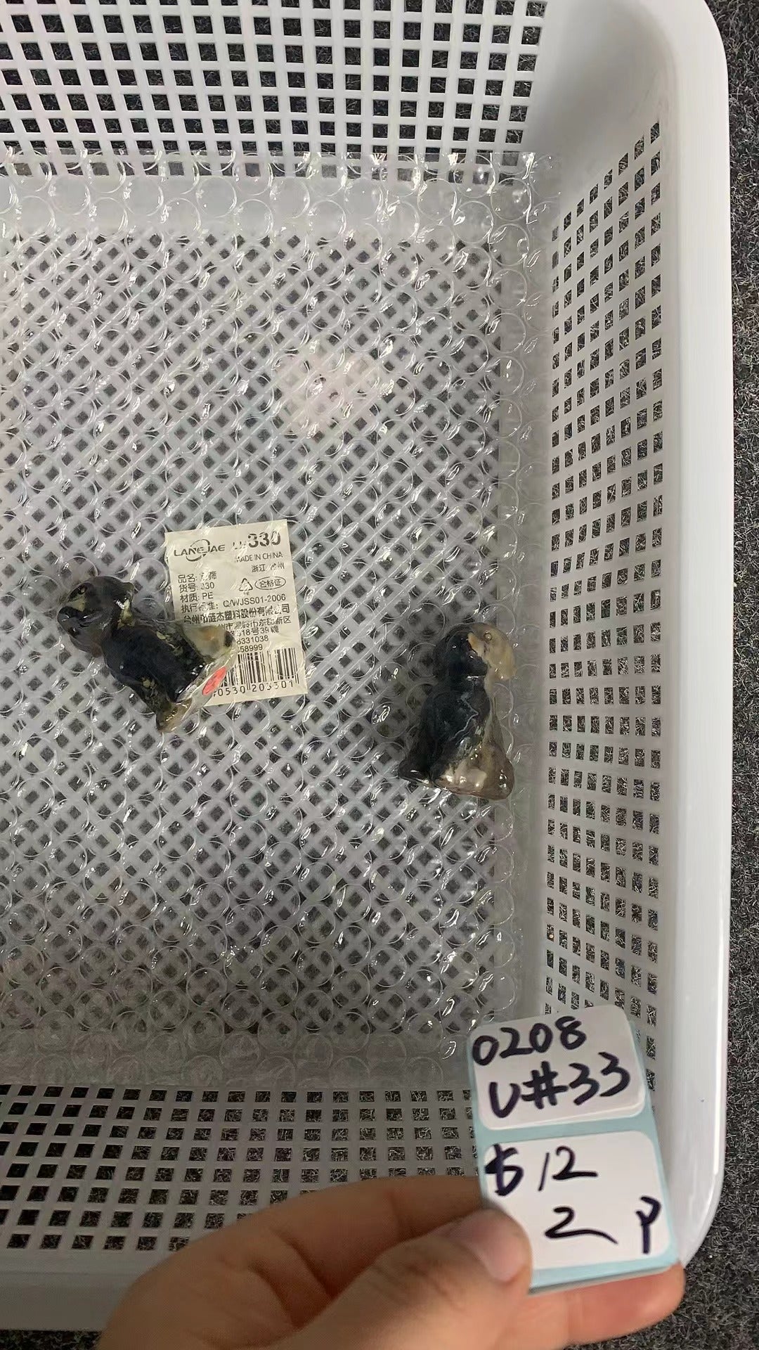 KIKICRYSTAL Unique Crystal Claim Sale for 0208