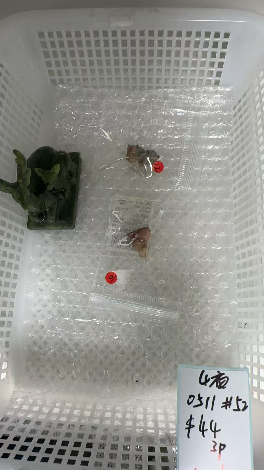 KIKICRYSTAL KIKI Claim Sale For 0511