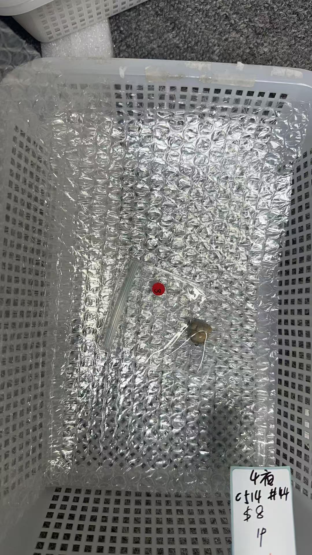 KIKICRYSTAL KIKI Claim Sale For 0514