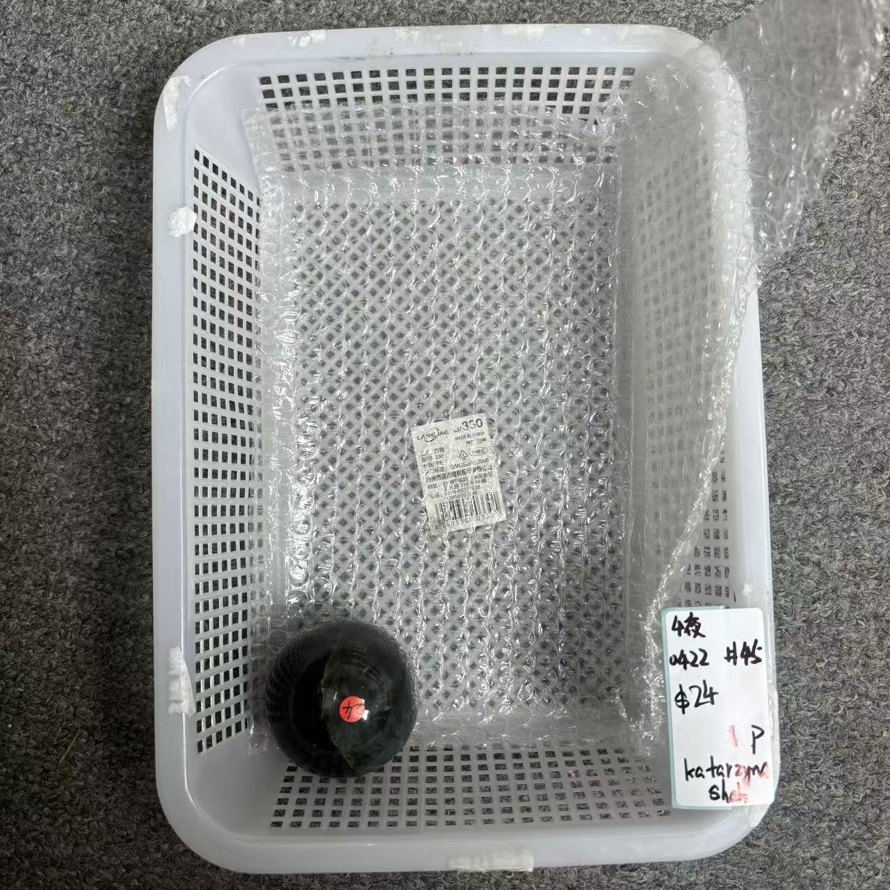 KIKICRYSTAL KIKI Claim Sale For 0422