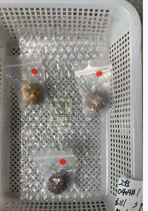 KIKICRYSTAL Unique Crystal Claim Sale for 0409