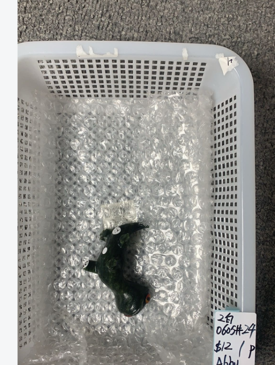 KIKICRYSTAL Unique Crystal Claim Sale for 0605