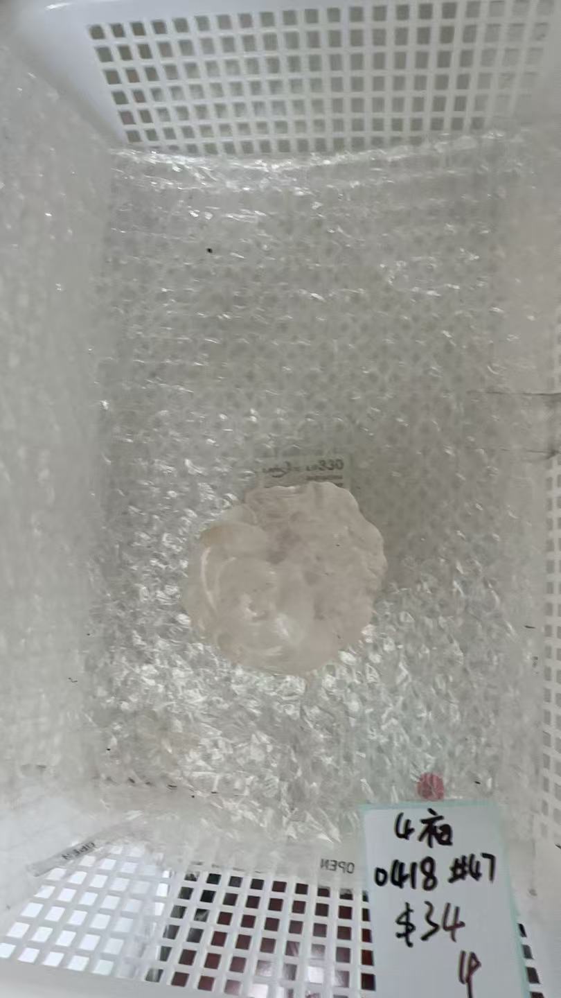 KIKICRYSTAL KIKI Claim Sale For 0418