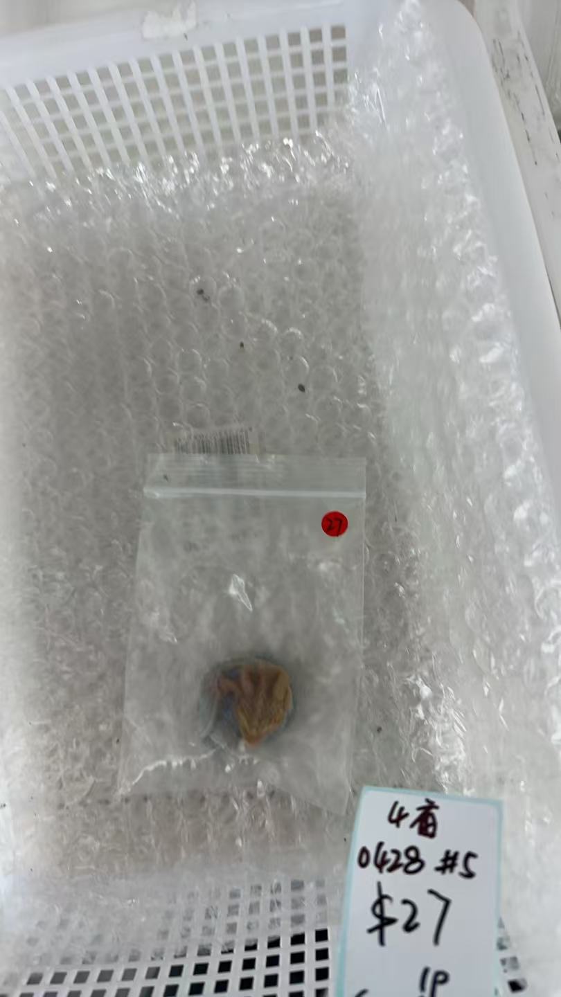 KIKICRYSTAL KIKI Claim Sale For 0428