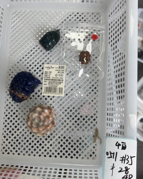 KIKICRYSTAL KIKI Claim Sale For 0511