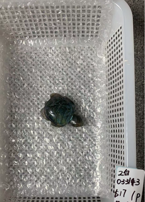 KIKICRYSTAL Unique Crystal Claim Sale for 0331