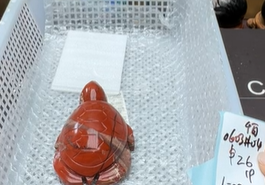 KIKICRYSTAL KIKI Claim Sale For 0603