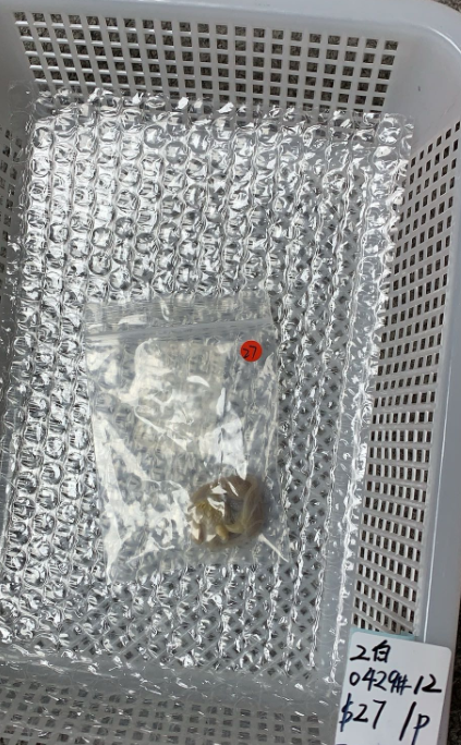 KIKICRYSTAL Unique Crystal Claim Sale for 0429