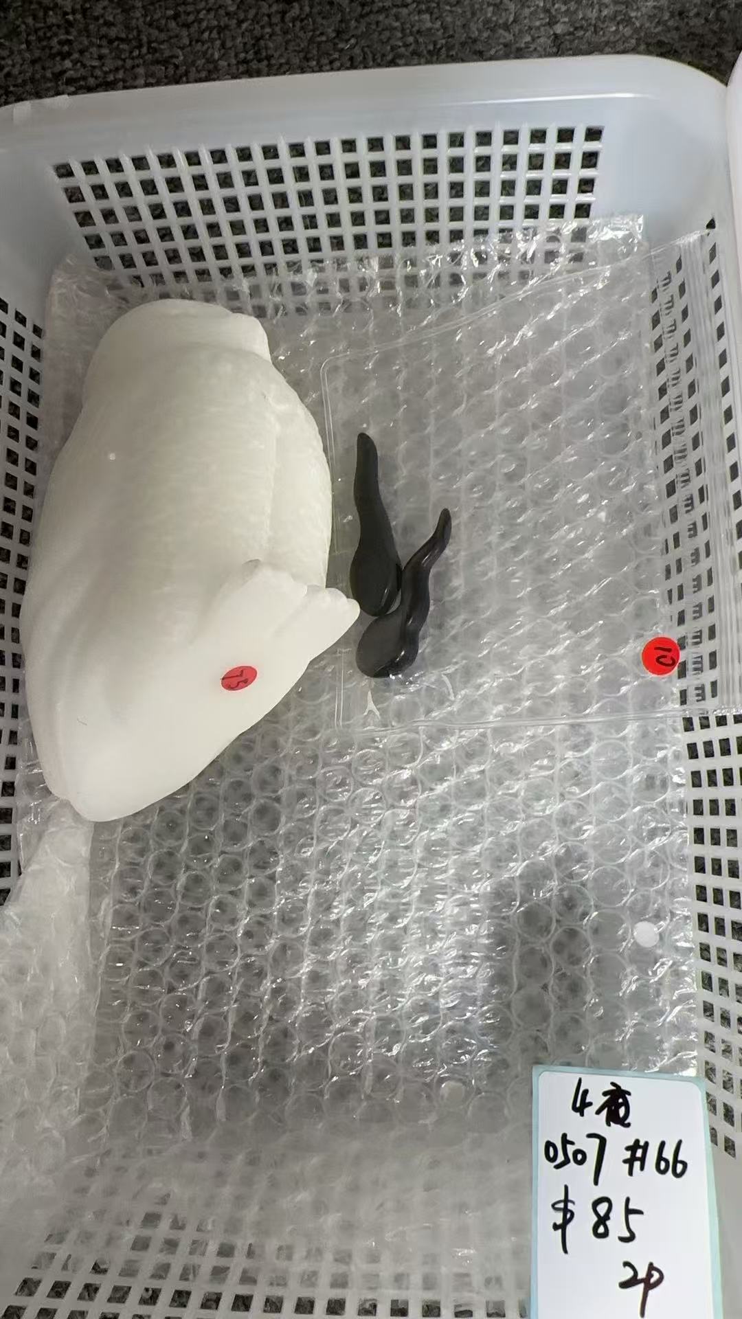 KIKICRYSTAL KIKI Claim Sale For 0507