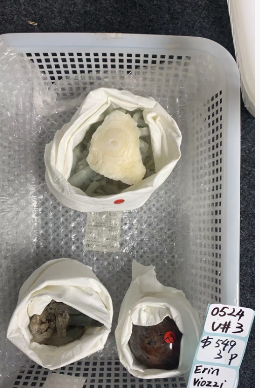 KIKICRYSTAL Unique Crystal Claim Sale for 0524