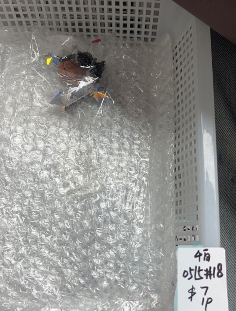 KIKICRYSTAL KIKI Claim Sale For 0515