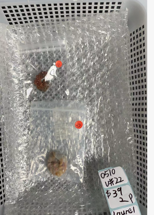 KIKICRYSTAL Unique Crystal Claim Sale for 0510