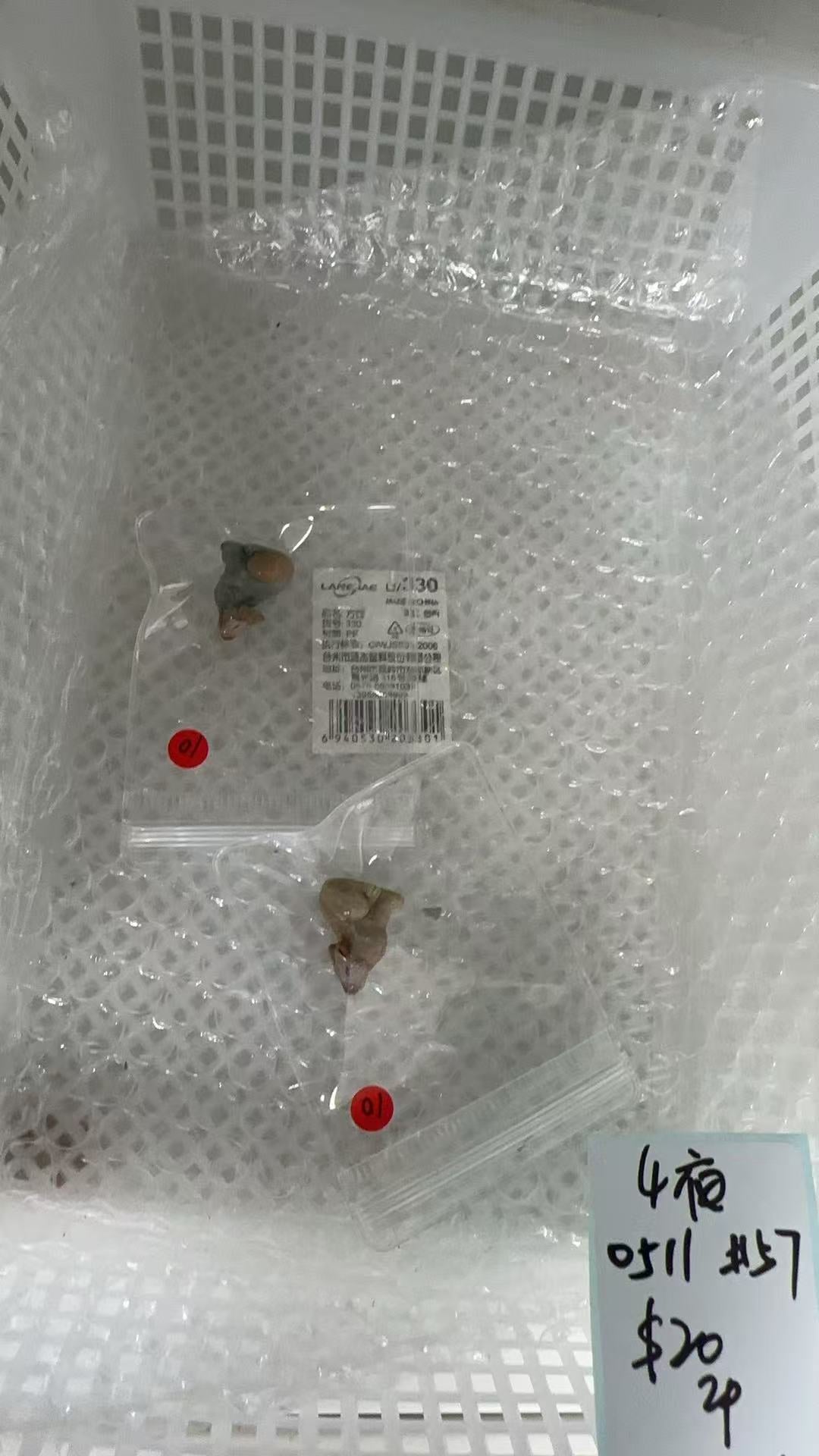 KIKICRYSTAL KIKI Claim Sale For 0511