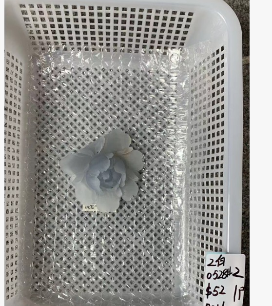 KIKICRYSTAL Unique Crystal Claim Sale for 0528