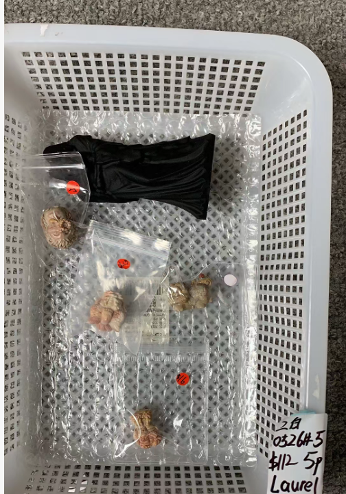 KIKICRYSTAL Unique Crystal Claim Sale for 0526