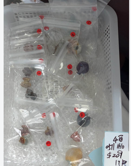 KIKICRYSTAL KIKI Claim Sale For 0511