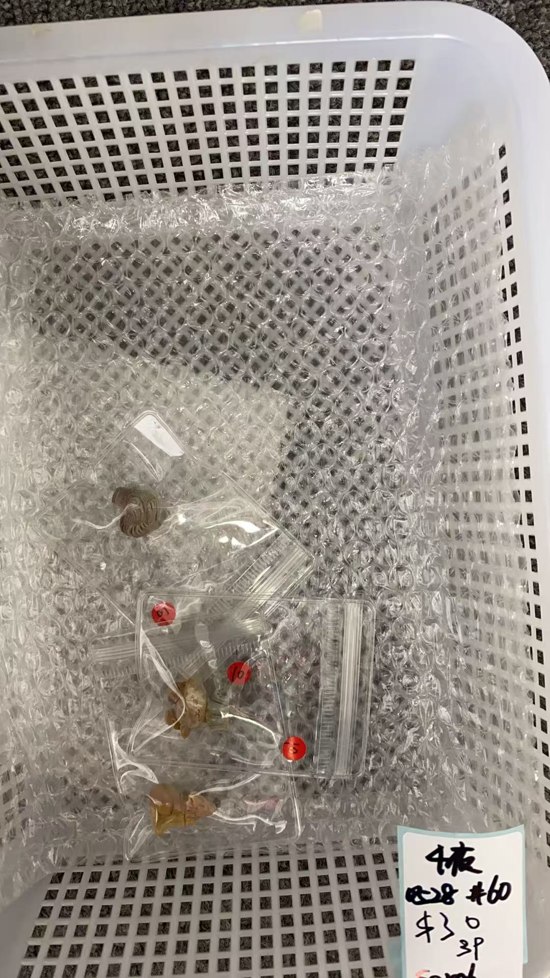 KIKICRYSTAL KIKI Claim Sale For 0528