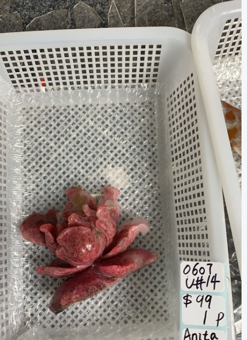 KIKICRYSTAL Unique Crystal Claim Sale for 0607