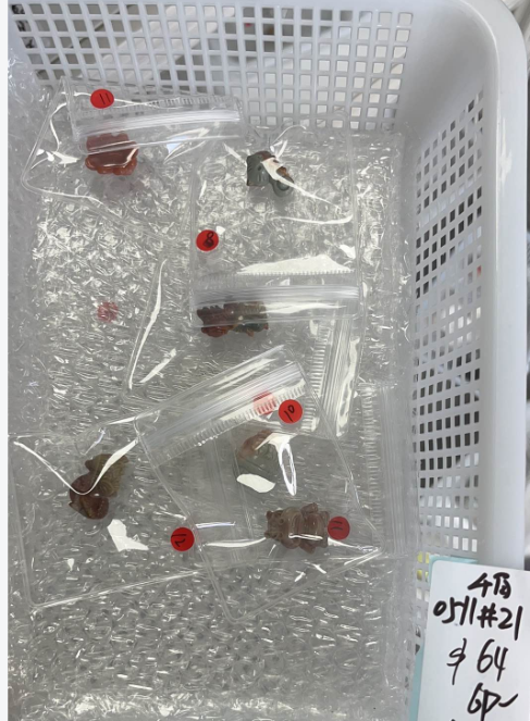 KIKICRYSTAL KIKI Claim Sale For 0511