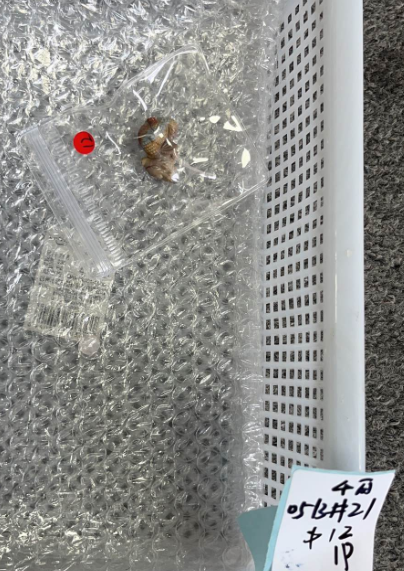 KIKICRYSTAL KIKI Claim Sale For 0513