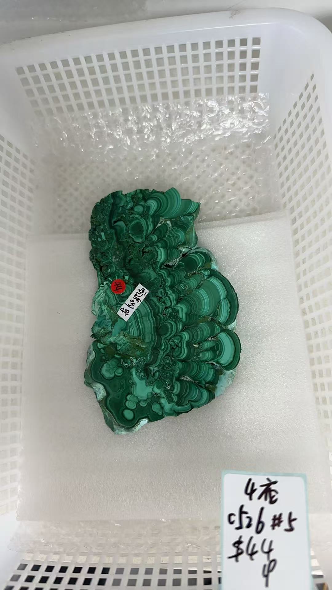 KIKICRYSTAL KIKI Claim Sale For 0526