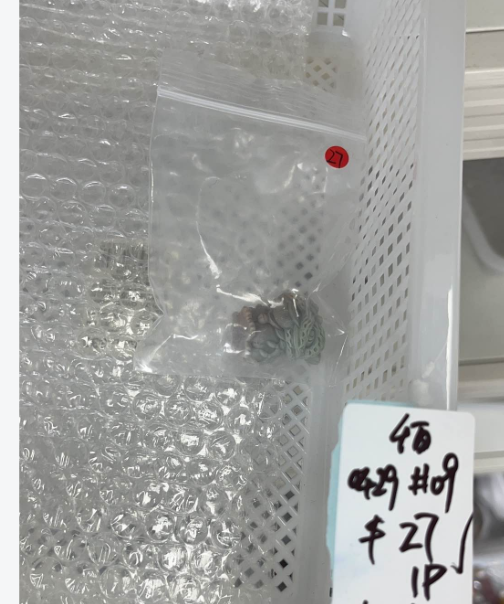 KIKICRYSTAL KIKI Claim Sale For 0429