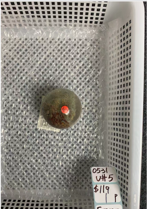 KIKICRYSTAL Unique Crystal Claim Sale for 0531