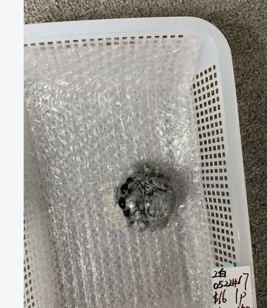 KIKICRYSTAL Unique Crystal Claim Sale for 0522