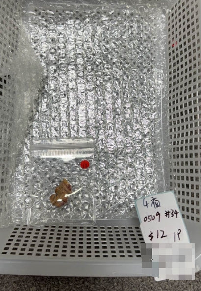 KIKICRYSTAL KIKI Claim Sale For 0509