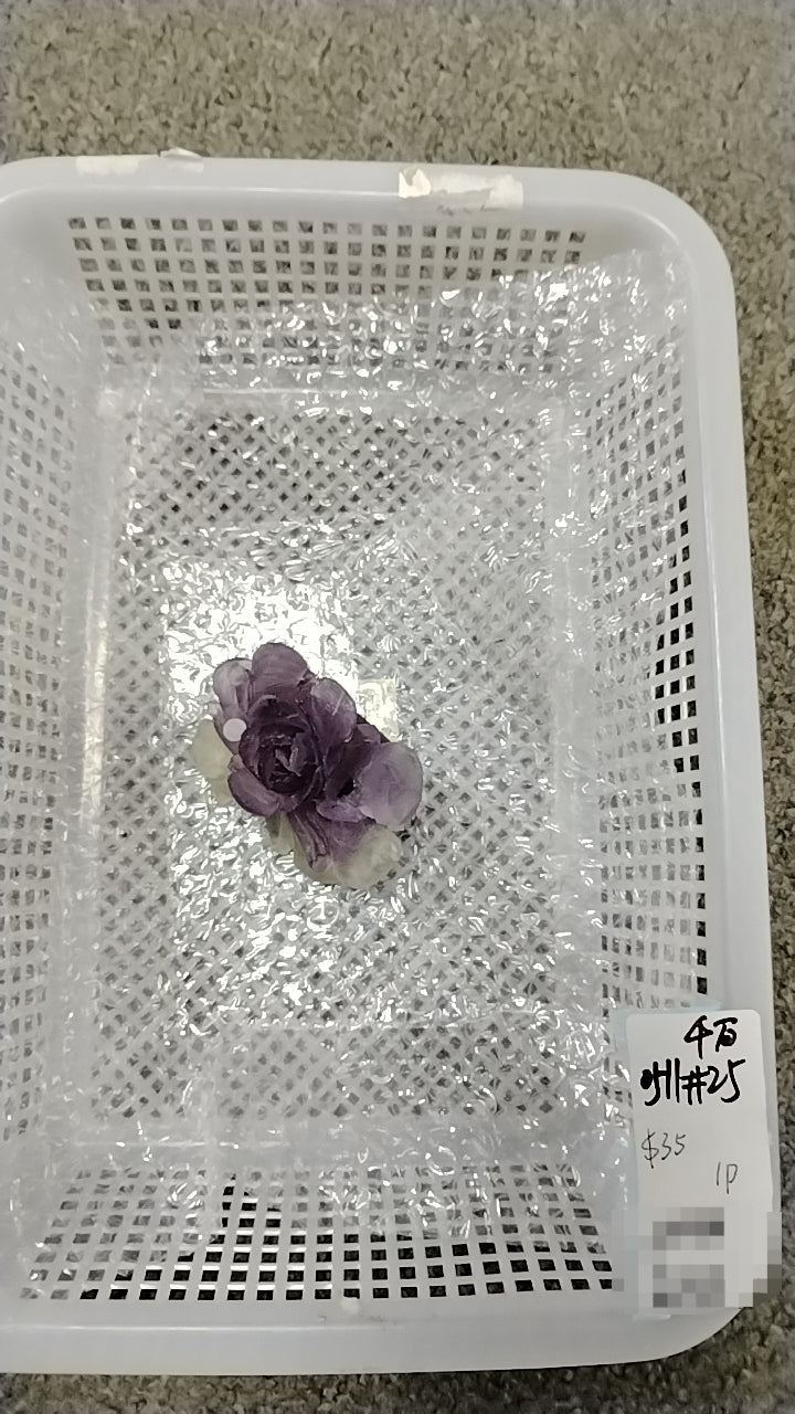 KIKICRYSTAL KIKI Claim Sale For 0511