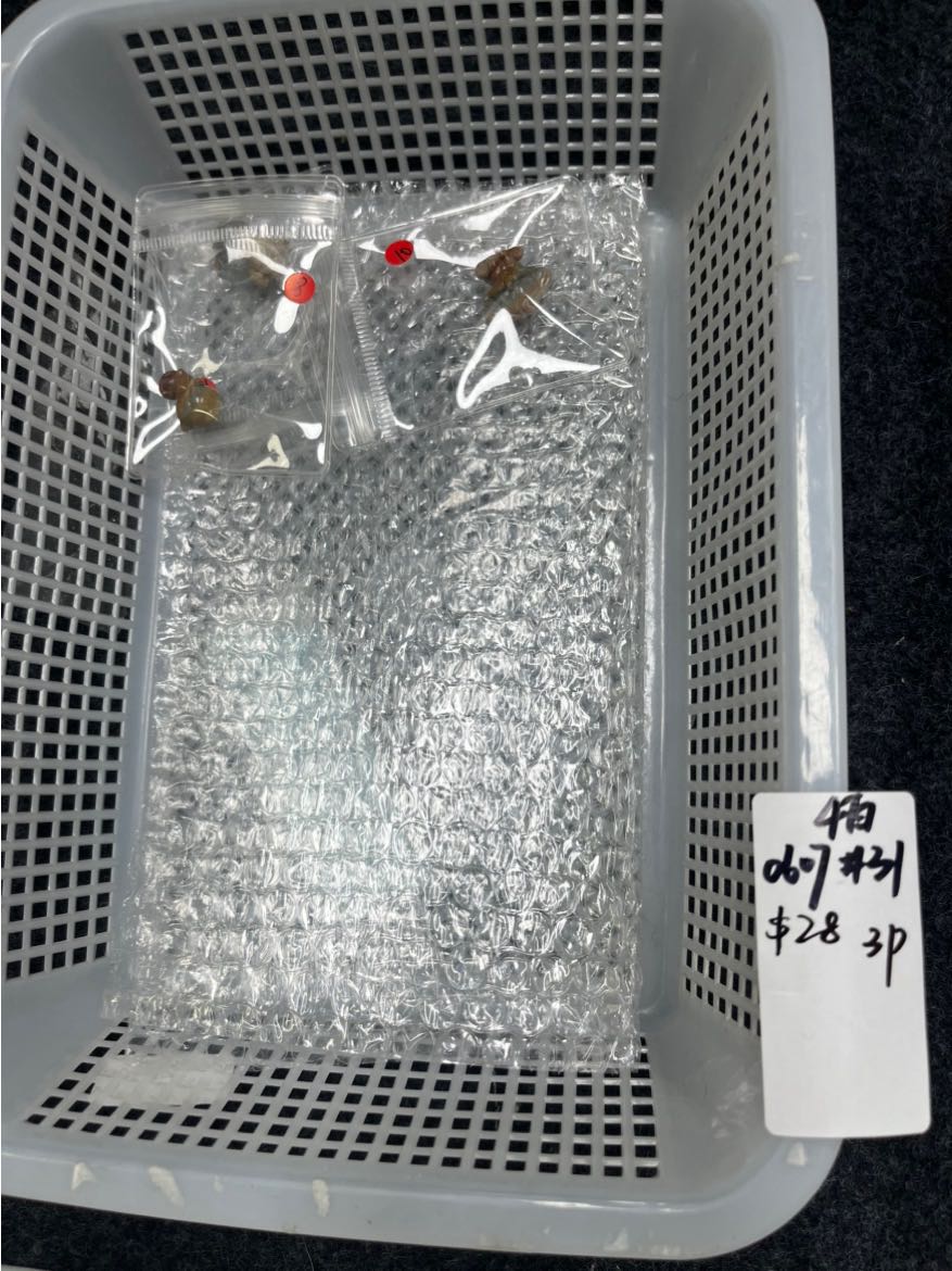 KIKICRYSTAL Basket Sale for 0607